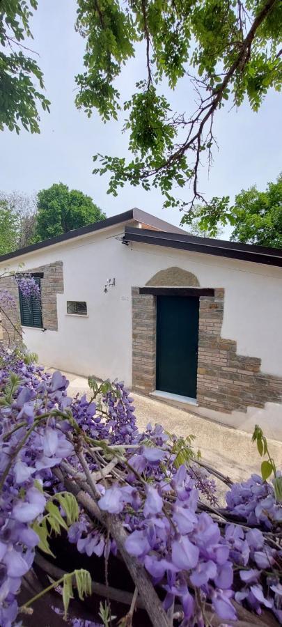 Agriturismo Terranova Pisticci Zewnętrze zdjęcie