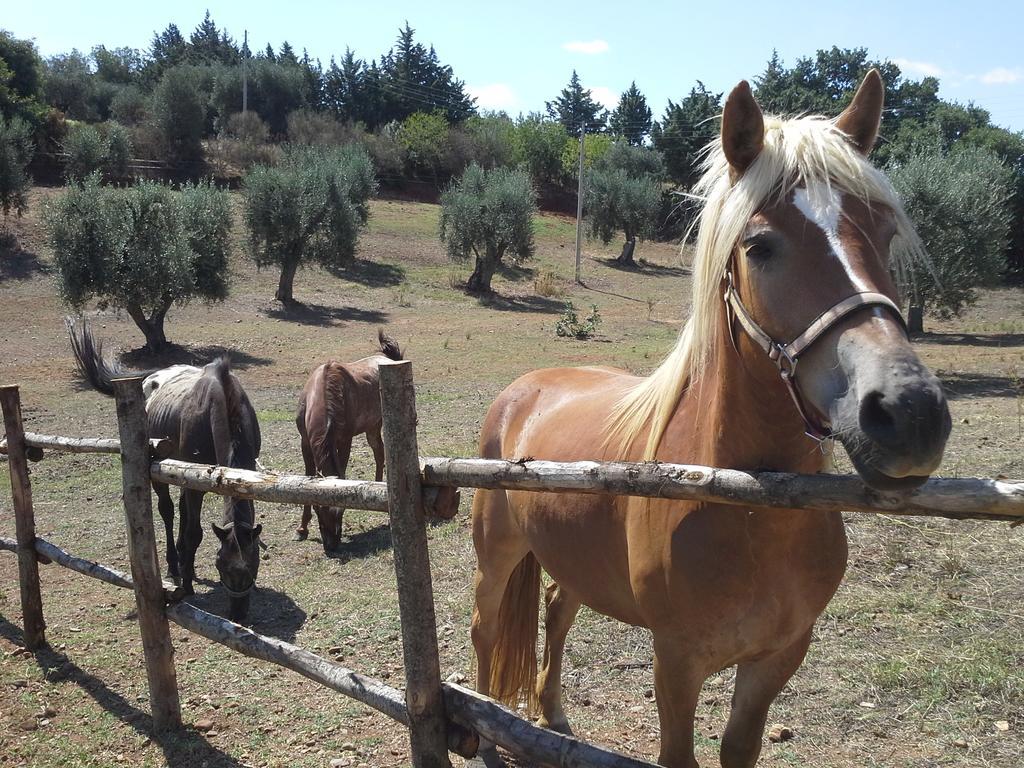 Agriturismo Terranova Pisticci Zewnętrze zdjęcie